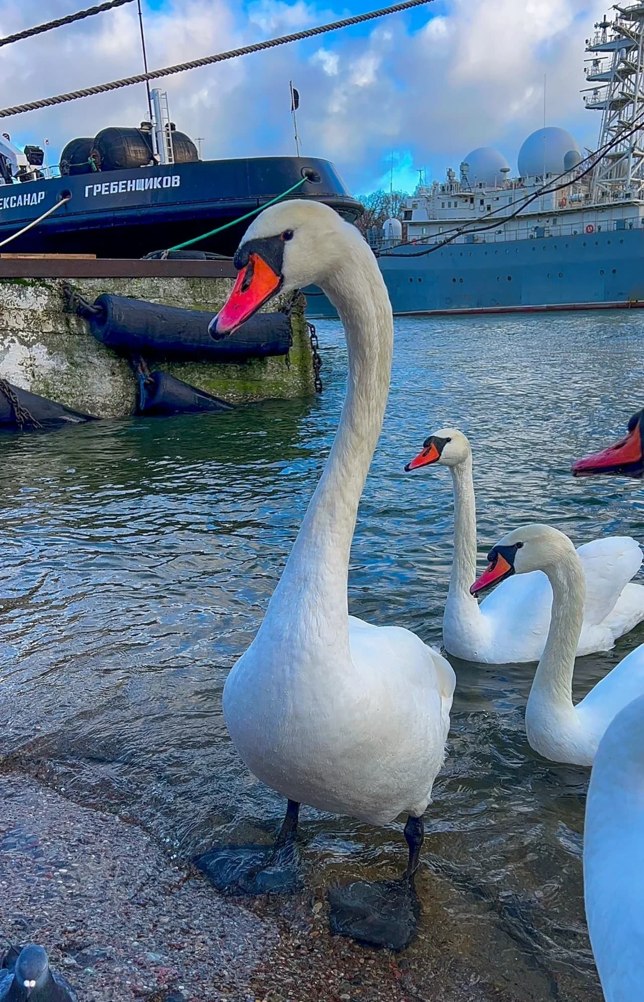 Лучшие локации побережья "Балтийск + Янтарный +Светлогорск +Филинская бухта". — фото 3