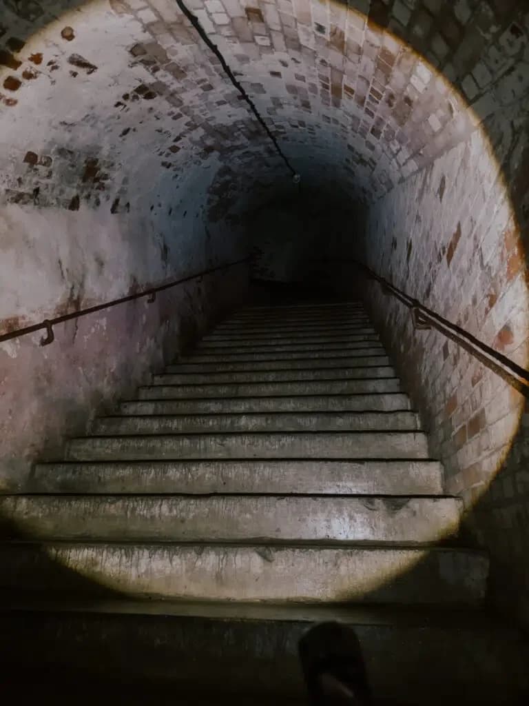 Ночная жизнь форта № 11 Дёнхофф — фото 4